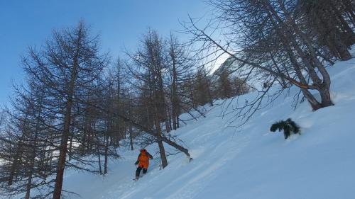 marc.freeride